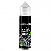 Blackberry 60ml by Salt Jam