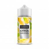 Citrus Maxima 100ml by Lemonade Paradise