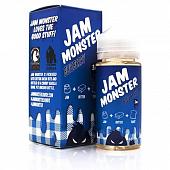 Blueberry 100ml by Jam Monster