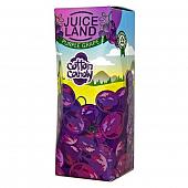 Purple Grape 100ml by Juiceland