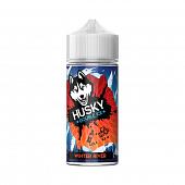 Winter River 100ml by Husky Double Ice